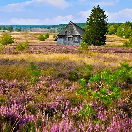 Heideschwedin *
