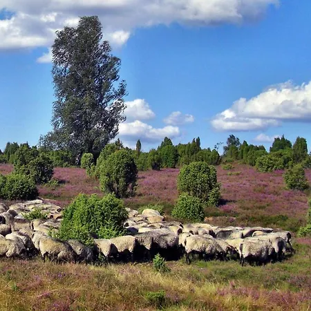 Heideschwedin Apartmán *