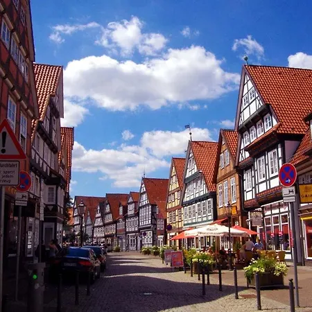 Heideschwedin * Eschede