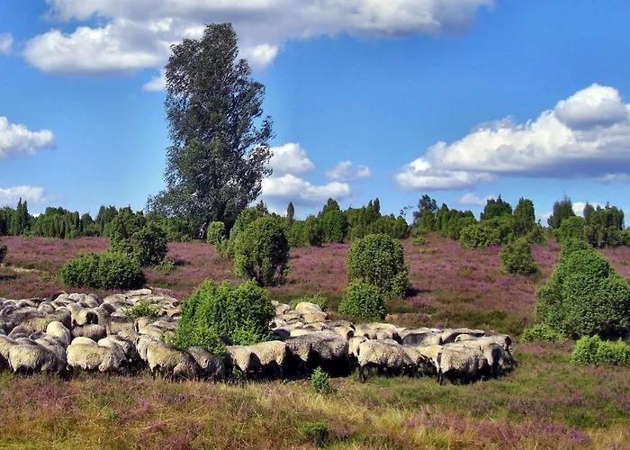 Heideschwedin Lägenhet *