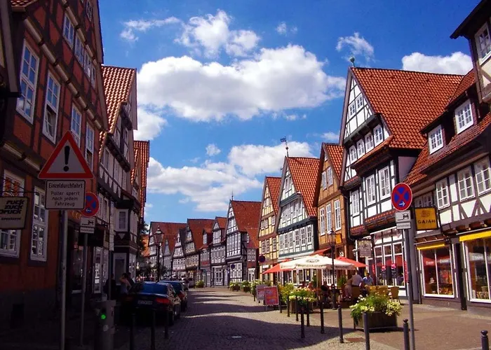 Heideschwedin * Eschede